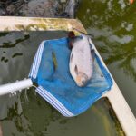 Screenshot_2023-08-26-10-42-16-654_com.miui_.mediaeditor-edit